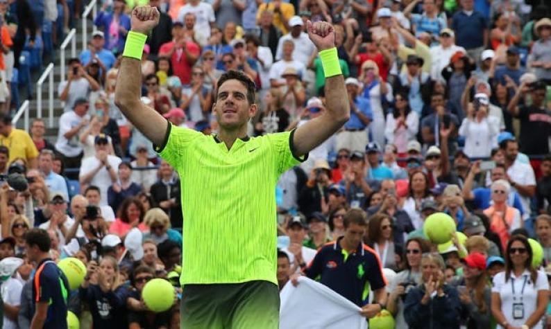 Del Potro vence a Ferrer y se instala en los octavos del US Open