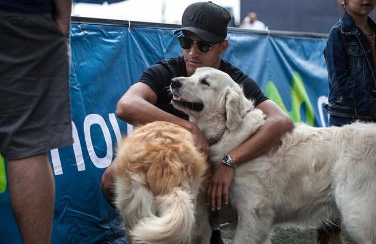 ¿Por qué los nombres Atom y Humber? Alexis habla del amor por sus perros