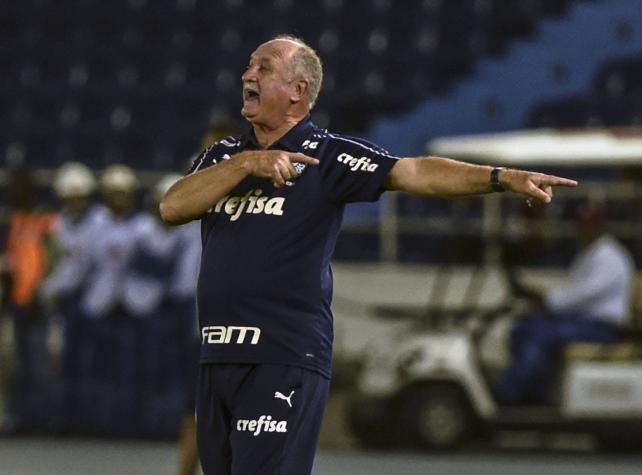 Cercano a Luiz Felipe Scolari confirma negociaciones: "Está interesado en dirigir a Colo Colo"