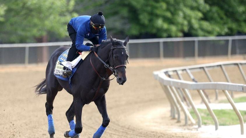 Caballo ganador del Derby de Kentucky muere tras colapsar en un entrenamiento