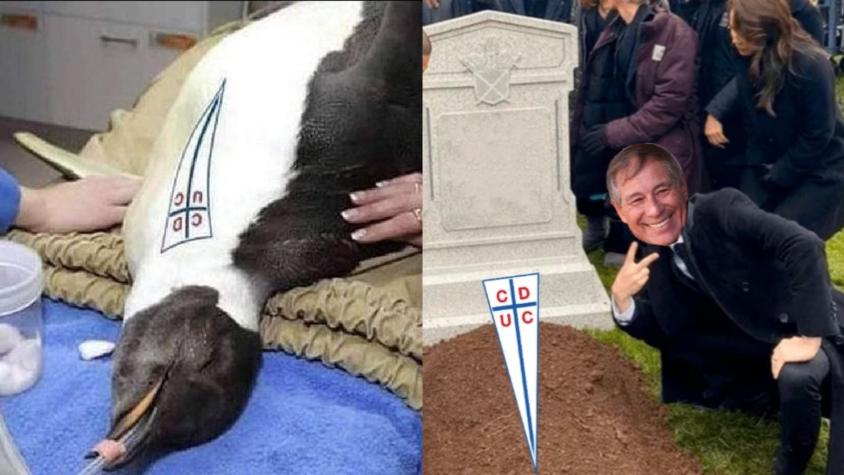 Las risas no faltaron: Los mejores memes que dejó la derrota de la UC frente a Curicó Unido