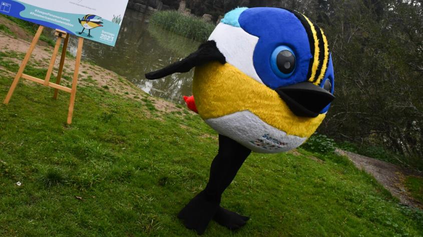 Cómo y dónde comprar tu peluche Fiu: obtén un DESCUENTO EXCLUSIVO con Deportes 13