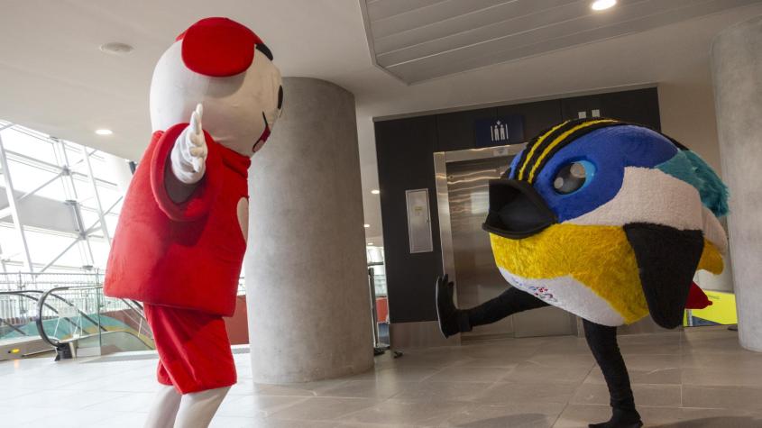 Fiu hizo la primera donación en la Teletón en un inicio marcado por los Juegos Parapanamericanos