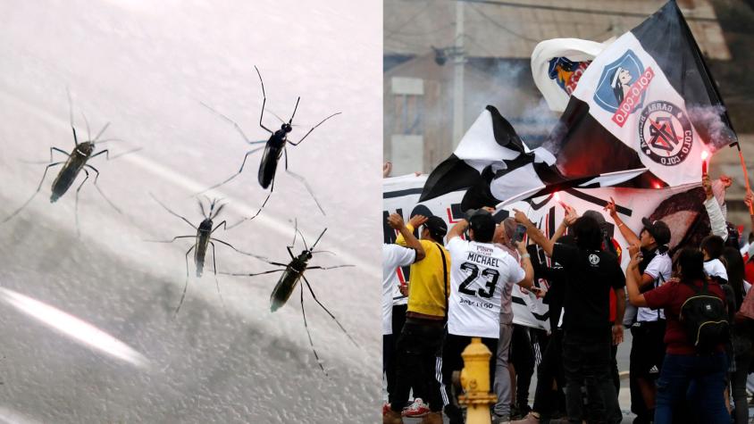 La grave epidemia con la que se encontrarán los hinchas de Colo Colo en Argentina