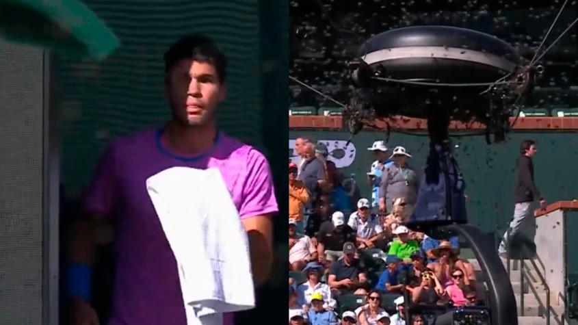 Insólito: Suspenden partido entre Carlos Alcaraz y Alexander Zverev en Indian Wells por una invasión de abejas
