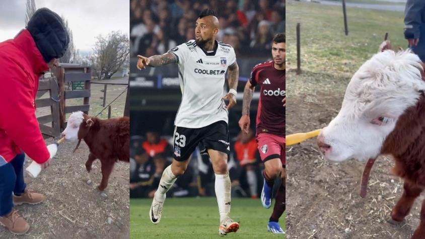 Exjugador de U de Chile se burla de Arturo Vidal tras quedar fuera de la Copa Libertadores con Colo Colo