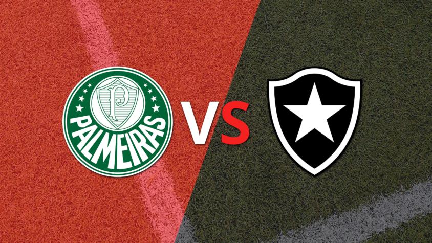 Empate 2 a 2 entre Palmeiras y Botafogo