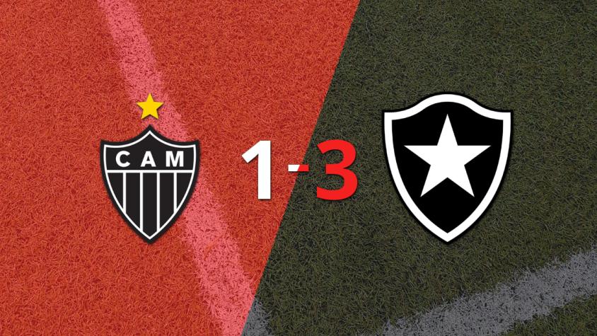 Botafogo fue superior y se adjudicó el torneo