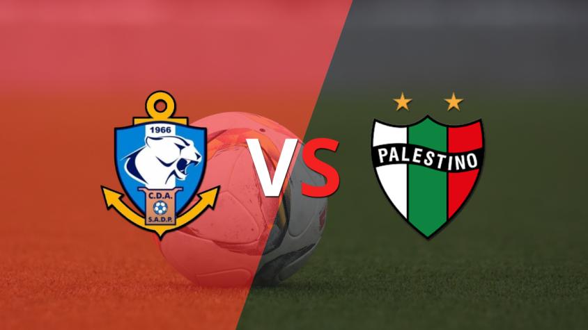 Palestino quiere volver a festejar frente a D. Antofagasta