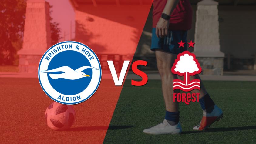 Brighton Vs Nottingham Forest Predictions and H2H Stats