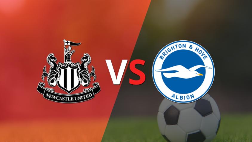 Newcastle United y Brighton and Hove se encuentran en la fecha 25