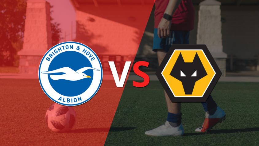 Aplastante victoria de Brighton and Hove sobre Wolverhampton