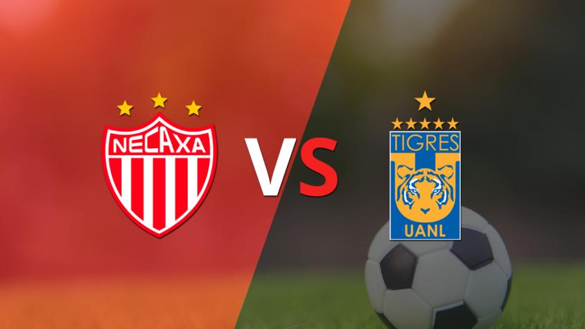 Necaxa recibirá a Tigres por la fecha 10