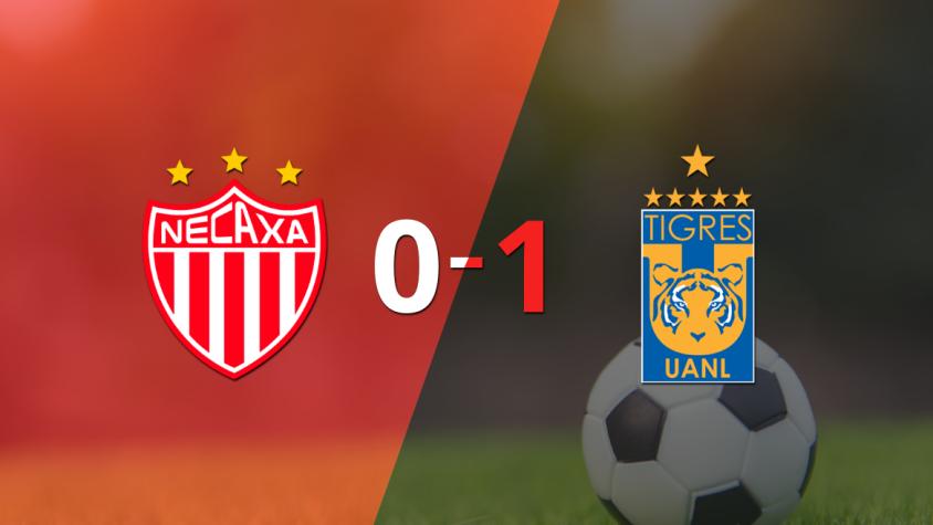 Tigres derrotó a Necaxa 1 a 0