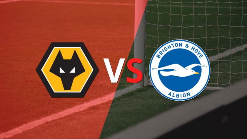 Brighton and Hove se enfrentará a Wolverhampton por la fecha 2