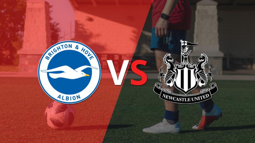 Por la fecha 4 se enfrentarán Brighton and Hove y Newcastle United