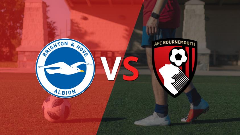 Por la fecha 6 se enfrentarán Brighton and Hove y Bournemouth