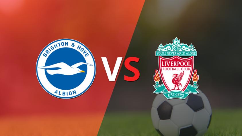 Brighton and Hove recibirá a Liverpool por la fecha 8