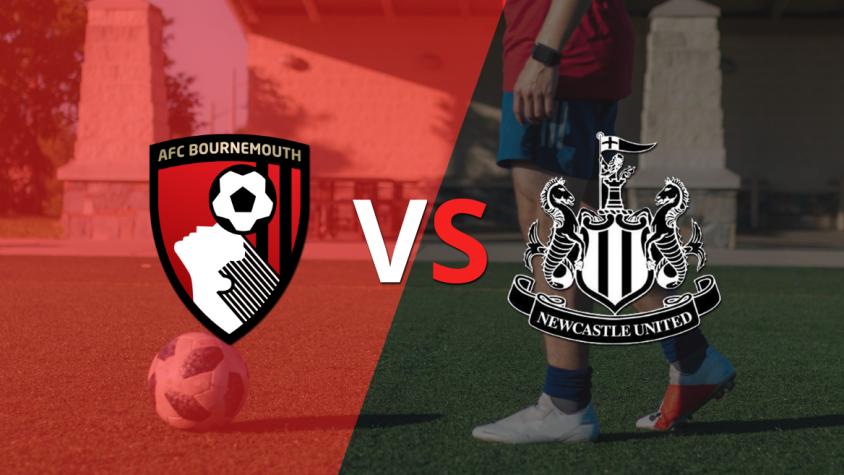 Por dos goles de diferencia, Bournemouth se impone a Newcastle United