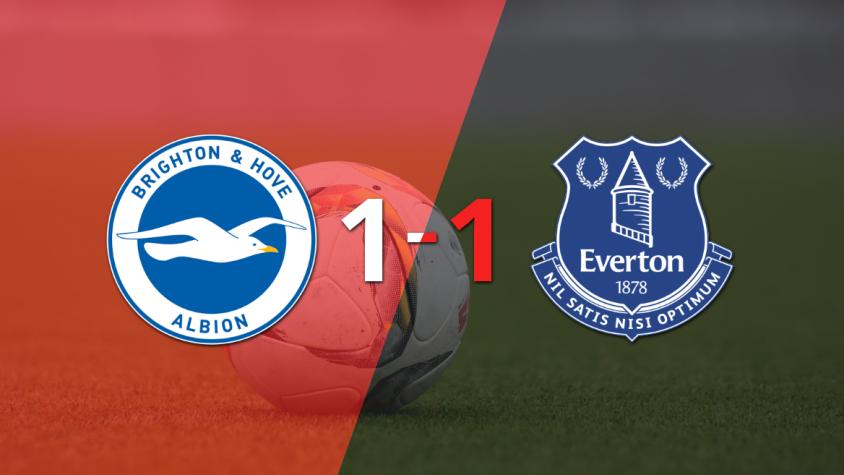 Reparto de puntos en el empate a uno entre Brighton and Hove y Everton