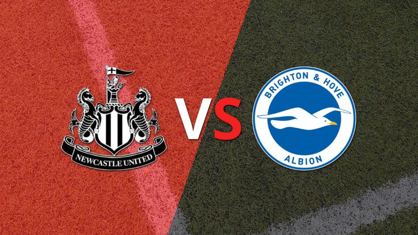Inglaterra - Premier League: Newcastle United vs Brighton and Hove Fecha 37