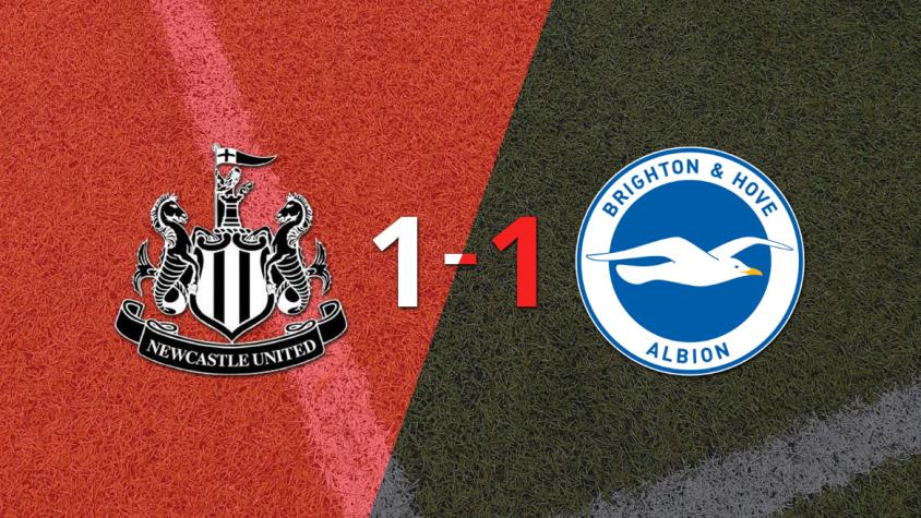 Newcastle United y Brighton and Hove empataron 1 a 1