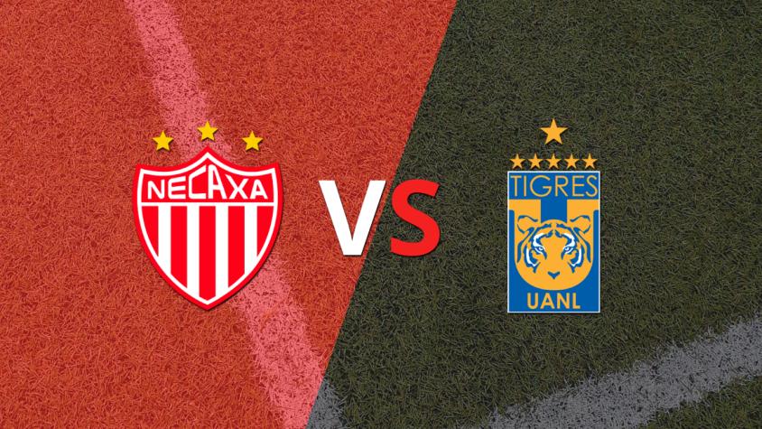 Necaxa se enfrenta ante la visita Tigres por la fecha 4