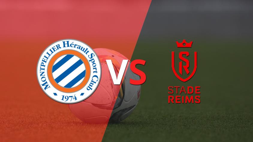 Montpellier se enfrentará ante Stade de Reims por la fecha 3