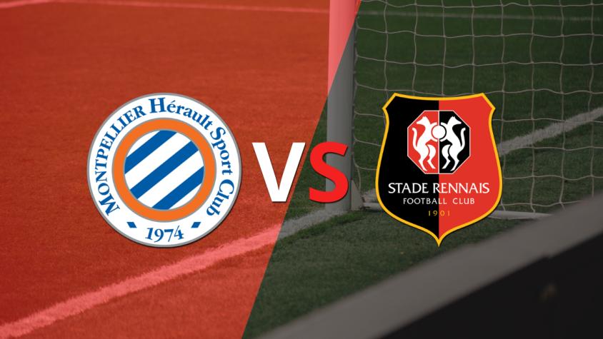Se enfrentan Montpellier y Stade Rennes por la fecha 6 Se enfrentan Montpellier y Stade Rennes por la fecha 6