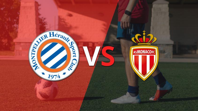 Francia - Primera División: Montpellier vs Mónaco Fecha 33