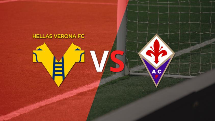 Entretiempo en el estadio Marcantonio Bentegodi: Fiorentina 1-1 Hellas Verona