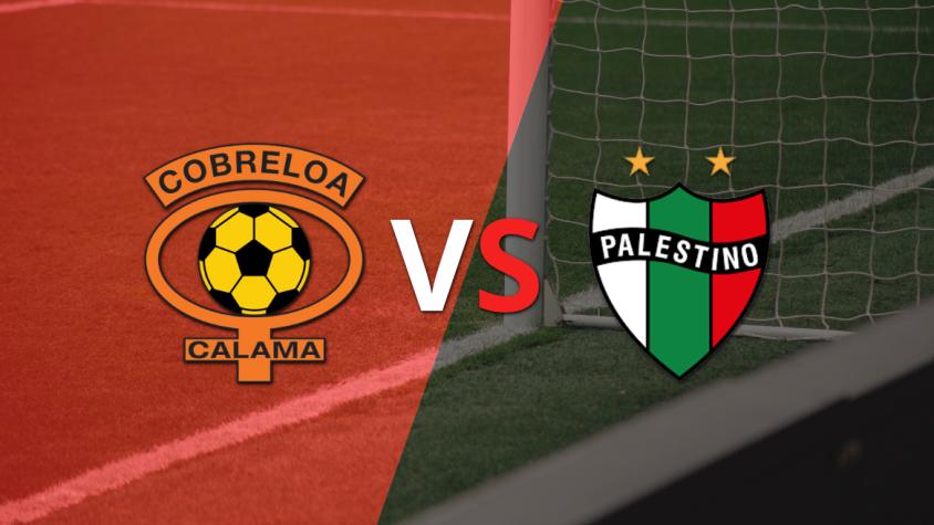 Se enfrentan Cobreloa y Palestino por la fecha 17