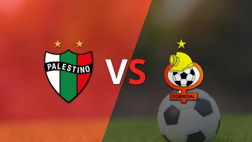 Palestino recibirá a Cobresal por la fecha 21