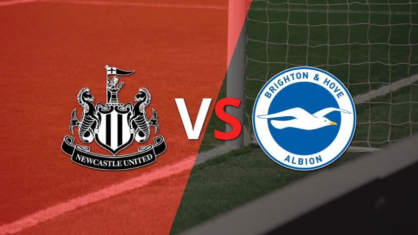 Brighton and Hove se impone 1 a 0 ante Newcastle United