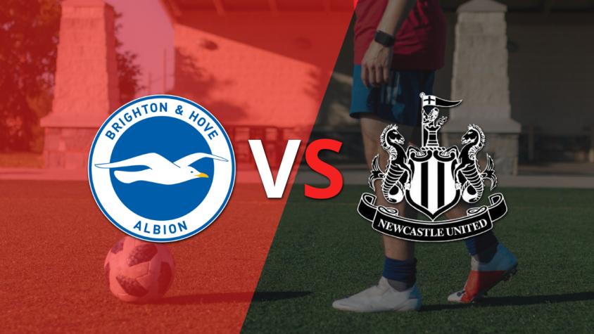 Inglaterra - Premier League: Brighton and Hove vs Newcastle United Fecha 35