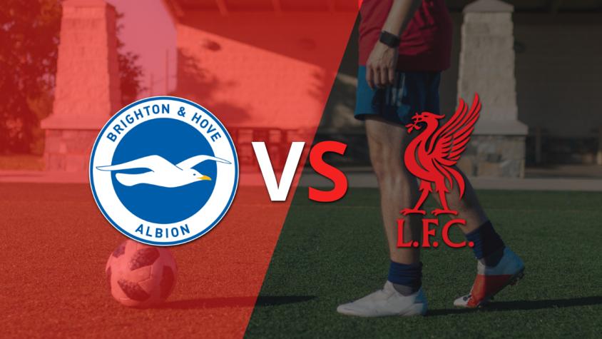 Inglaterra - Premier League: Brighton and Hove vs Liverpool Fecha 37