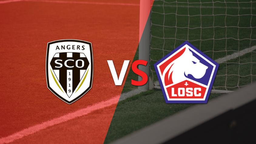 Se enfrentan Angers y Lille por la fecha 31