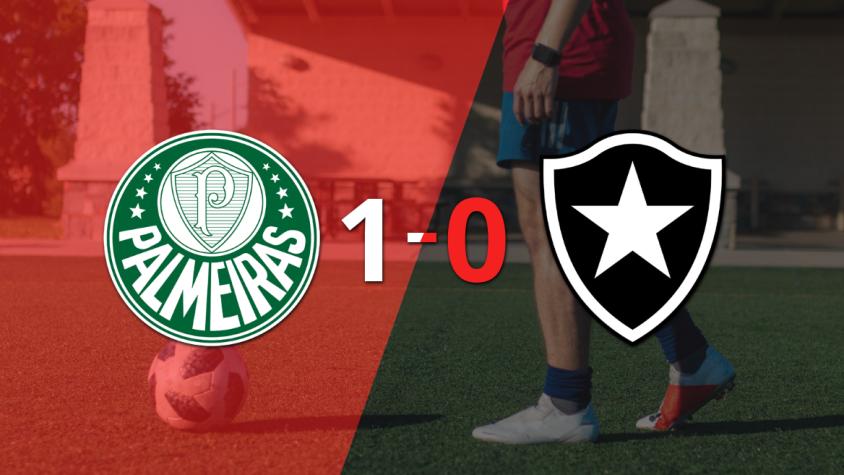 Palmeiras clasifica a Cuartos de Final al vencer a Botafogo