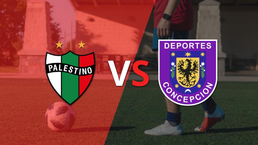 Por la fecha 3 del grupo E, Palestino recibirá a D. Concepción