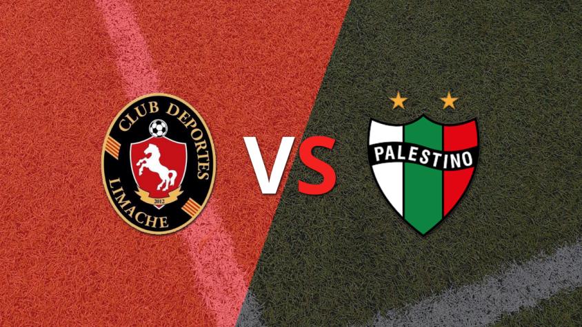 Chile - Primera División: Deportes Limache vs Palestino Fecha 11