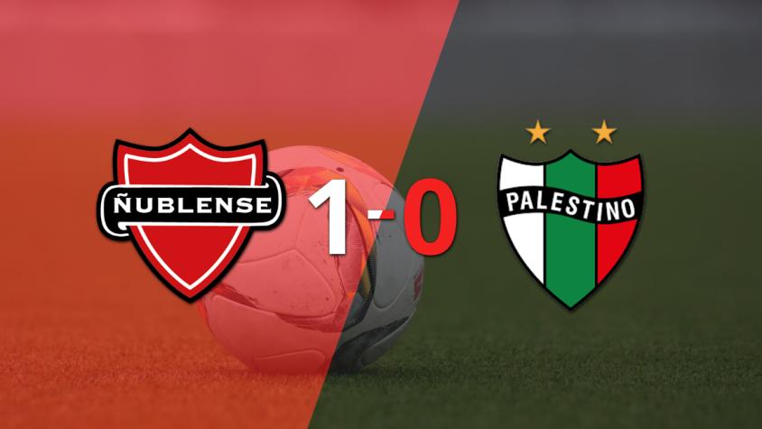 Apretada victoria de Ñublense frente a Palestino