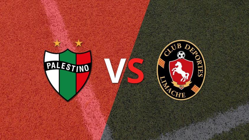 EN VIVO: Están jugando Palestino y Deportes Limache: 0-0 por la fecha 26 de la Primera División