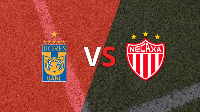 Tigres vs Necaxa: previa, horario y cómo llegan para la fecha 13 de la Liga MX
