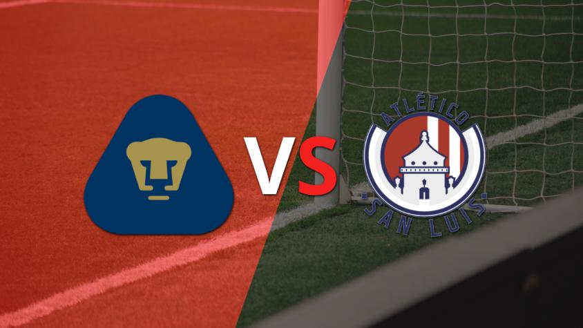 Pumas UNAM vs Atl. de San Luis: previa, horario y cómo llegan para la fecha 14 de la Liga MX