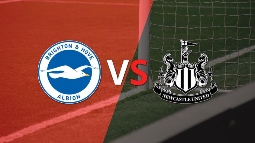 Brighton and Hove vs Newcastle United: previa, horario y cómo llegan para la fecha 8 de la Premier League